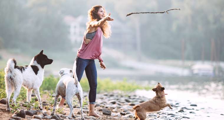 What is the benefit of off-leash training?