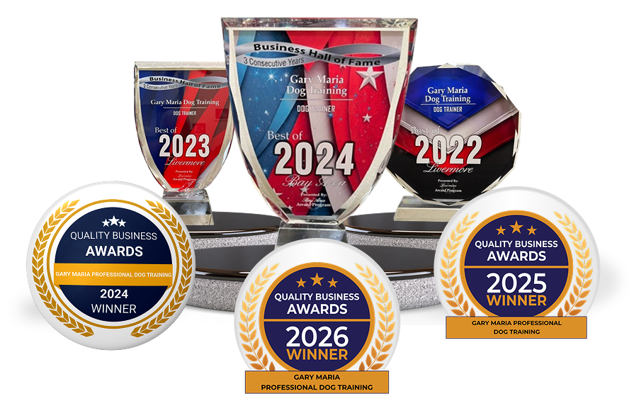 Trophies and circular award badges for Gary Maria Dog Training, displaying Best of 2022–2024–2026 and 2025 winner plaques.