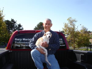 Gary Maria Professional Dog Trianer located in Walnut Creek, California