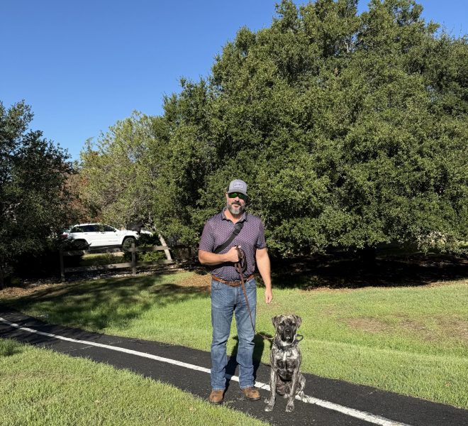 Fixed leash pulling and excessive barking at home