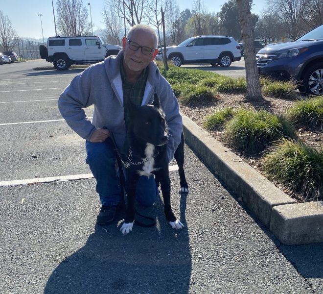 Sweet dog is enrolled in basic dog obedience training